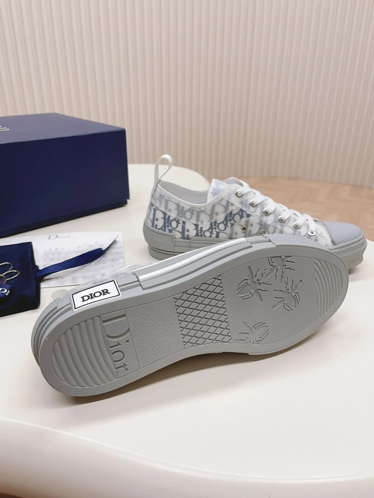 Dior 2019 Net Shoe Series P248